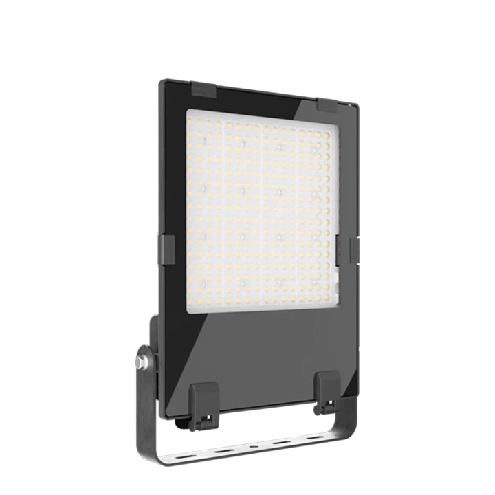 High Lumen LED Flood Light